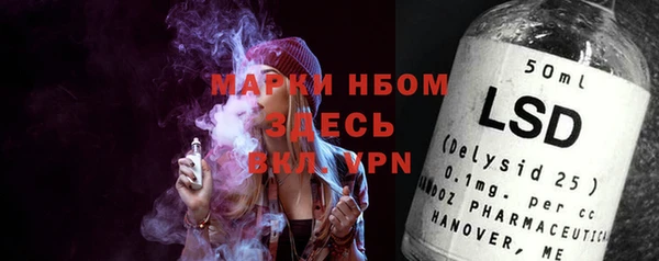 гашик Коряжма