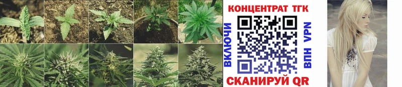 Дистиллят ТГК Wax  Островной 