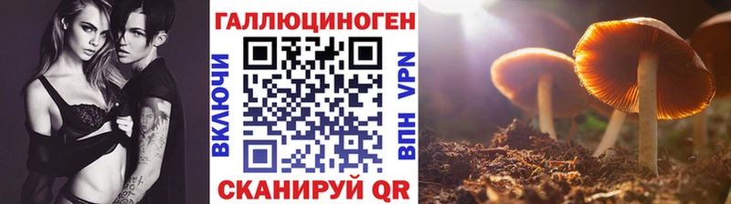 Галлюциногенные грибы Cubensis  Островной 